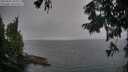 ./images/koeye/fitz-hugh/20250905/fitz-hugh20250905_201009M.jpg