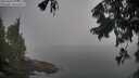 ./images/koeye/fitz-hugh/20250906/fitz-hugh20250906_093011M.jpg