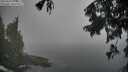 ./images/koeye/fitz-hugh/20250906/fitz-hugh20250906_094511M.jpg