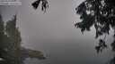 ./images/koeye/fitz-hugh/20250906/fitz-hugh20250906_100012M.jpg