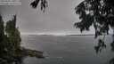 ./images/koeye/fitz-hugh/20250906/fitz-hugh20250906_103011M.jpg
