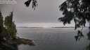 ./images/koeye/fitz-hugh/20250906/fitz-hugh20250906_104010M.jpg