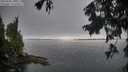 ./images/koeye/fitz-hugh/20250906/fitz-hugh20250906_104512M.jpg