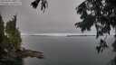 ./images/koeye/fitz-hugh/20250906/fitz-hugh20250906_105509M.jpg