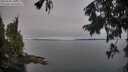 ./images/koeye/fitz-hugh/20250906/fitz-hugh20250906_110011M.jpg