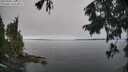 ./images/koeye/fitz-hugh/20250906/fitz-hugh20250906_111011M.jpg