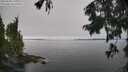 ./images/koeye/fitz-hugh/20250906/fitz-hugh20250906_111511M.jpg