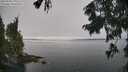 ./images/koeye/fitz-hugh/20250906/fitz-hugh20250906_112510M.jpg