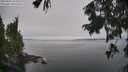 ./images/koeye/fitz-hugh/20250906/fitz-hugh20250906_113011M.jpg