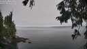 ./images/koeye/fitz-hugh/20250906/fitz-hugh20250906_113510M.jpg