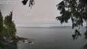 ./images/koeye/fitz-hugh/20250906/fitz-hugh20250906_114512M.jpg