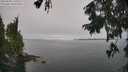 ./images/koeye/fitz-hugh/20250906/fitz-hugh20250906_120012M.jpg