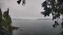 ./images/koeye/fitz-hugh/20250906/fitz-hugh20250906_120510M.jpg