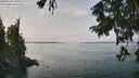 ./images/koeye/fitz-hugh/20250906/fitz-hugh20250906_130510M.jpg
