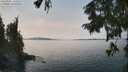 ./images/koeye/fitz-hugh/20250906/fitz-hugh20250906_134510M.jpg