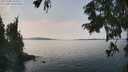 ./images/koeye/fitz-hugh/20250906/fitz-hugh20250906_135010M.jpg