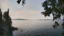 ./images/koeye/fitz-hugh/20250906/fitz-hugh20250906_135509M.jpg