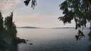 ./images/koeye/fitz-hugh/20250906/fitz-hugh20250906_140011M.jpg