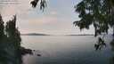 ./images/koeye/fitz-hugh/20250906/fitz-hugh20250906_141009M.jpg