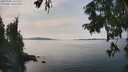 ./images/koeye/fitz-hugh/20250906/fitz-hugh20250906_141511M.jpg
