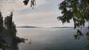 ./images/koeye/fitz-hugh/20250906/fitz-hugh20250906_142008M.jpg