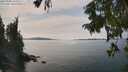 ./images/koeye/fitz-hugh/20250906/fitz-hugh20250906_142510M.jpg