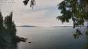 ./images/koeye/fitz-hugh/20250906/fitz-hugh20250906_143511M.jpg