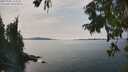 ./images/koeye/fitz-hugh/20250906/fitz-hugh20250906_144011M.jpg
