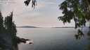 ./images/koeye/fitz-hugh/20250906/fitz-hugh20250906_145510M.jpg