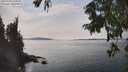 ./images/koeye/fitz-hugh/20250906/fitz-hugh20250906_150507M.jpg