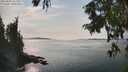 ./images/koeye/fitz-hugh/20250906/fitz-hugh20250906_152510M.jpg