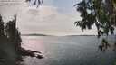 ./images/koeye/fitz-hugh/20250906/fitz-hugh20250906_153510M.jpg