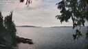 ./images/koeye/fitz-hugh/20250906/fitz-hugh20250906_154512M.jpg