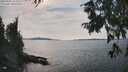 ./images/koeye/fitz-hugh/20250906/fitz-hugh20250906_155011M.jpg