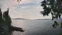 ./images/koeye/fitz-hugh/20250906/fitz-hugh20250906_155510M.jpg