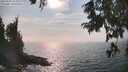 ./images/koeye/fitz-hugh/20250906/fitz-hugh20250906_163511M.jpg