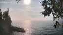 ./images/koeye/fitz-hugh/20250906/fitz-hugh20250906_164011M.jpg