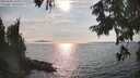 ./images/koeye/fitz-hugh/20250906/fitz-hugh20250906_170012M.jpg