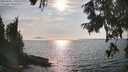 ./images/koeye/fitz-hugh/20250906/fitz-hugh20250906_170511M.jpg