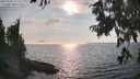 ./images/koeye/fitz-hugh/20250906/fitz-hugh20250906_171512M.jpg