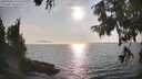 ./images/koeye/fitz-hugh/20250906/fitz-hugh20250906_174011M.jpg