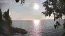 ./images/koeye/fitz-hugh/20250906/fitz-hugh20250906_174511M.jpg