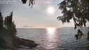 ./images/koeye/fitz-hugh/20250906/fitz-hugh20250906_175010M.jpg