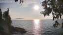 ./images/koeye/fitz-hugh/20250906/fitz-hugh20250906_175509M.jpg