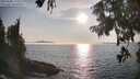 ./images/koeye/fitz-hugh/20250906/fitz-hugh20250906_180014M.jpg