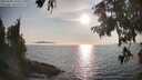 ./images/koeye/fitz-hugh/20250906/fitz-hugh20250906_180510M.jpg