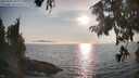 ./images/koeye/fitz-hugh/20250906/fitz-hugh20250906_181011M.jpg