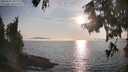 ./images/koeye/fitz-hugh/20250906/fitz-hugh20250906_182011M.jpg