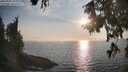 ./images/koeye/fitz-hugh/20250906/fitz-hugh20250906_183011M.jpg