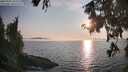 ./images/koeye/fitz-hugh/20250906/fitz-hugh20250906_184511M.jpg